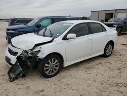 Salvage cars for sale at San Antonio, TX auction: 2010 Toyota Corolla Base