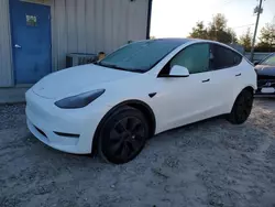 2024 Tesla Model Y en venta en Midway, FL