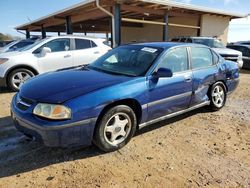 Carros salvage a la venta en subasta: 2005 Chevrolet Impala