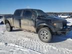 2011 Ford F150 SVT Raptor