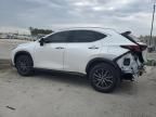 2024 Lexus NX 250 Premium