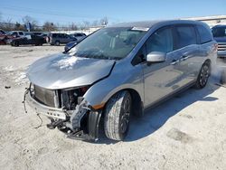 Salvage cars for sale at Walton, KY auction: 2021 Honda Odyssey EXL