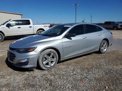 Salvage cars for sale at Temple, TX auction: 2019 Chevrolet Malibu LS