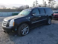 Salvage cars for sale at Augusta, GA auction: 2014 Cadillac Escalade ESV Platinum