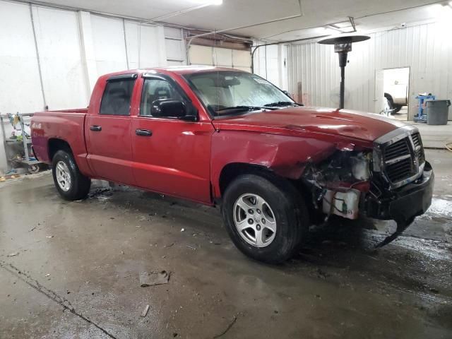 2006 Dodge Dakota Quattro