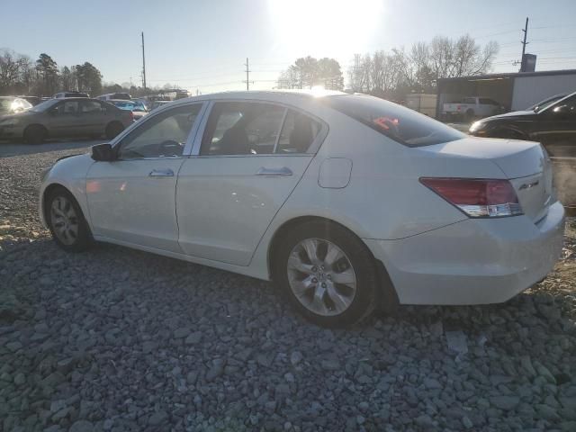 2008 Honda Accord EXL