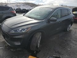 Vehiculos salvage en venta de Copart Littleton, CO: 2020 Ford Escape SE