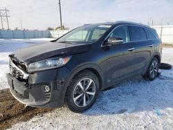 KIA salvage cars for sale: 2019 KIA Sorento EX