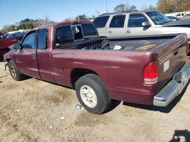 2000 Dodge Dakota