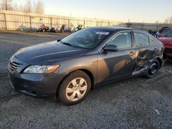 Toyota Camry Base Vehiculos salvage en venta: 2009 Toyota Camry Base