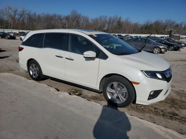 2019 Honda Odyssey EXL