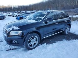 Audi q5 Premium Plus salvage cars for sale: 2015 Audi Q5 Premium Plus