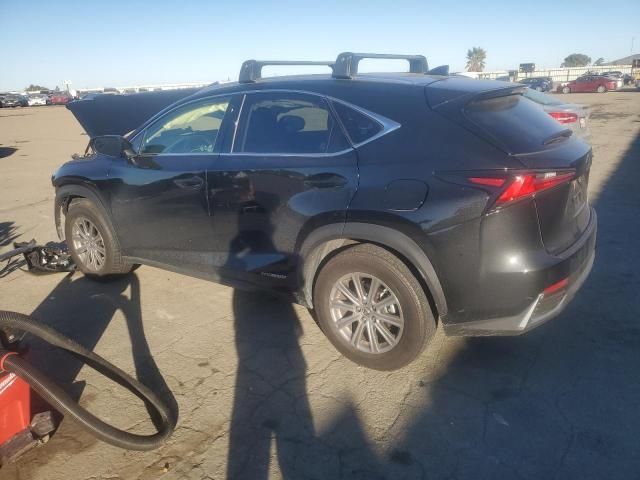 2019 Lexus NX 300H