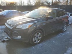 Salvage cars for sale at Waldorf, MD auction: 2016 Ford Escape SE