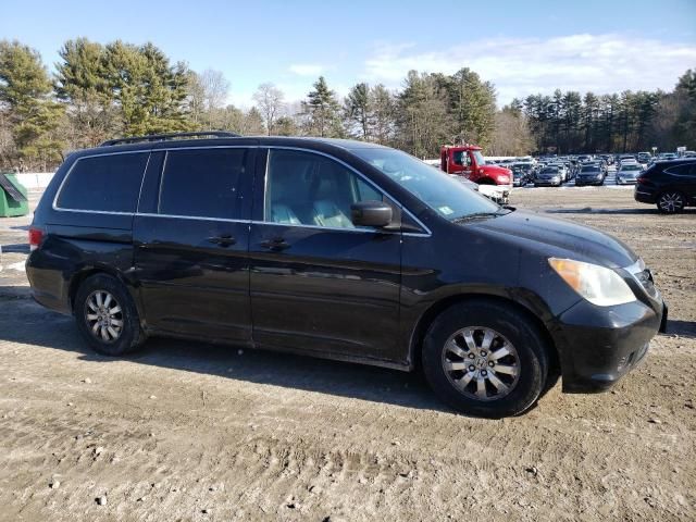 2010 Honda Odyssey EXL