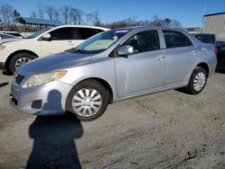 Salvage cars for sale at Spartanburg, SC auction: 2009 Toyota Corolla Base