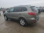 2007 Hyundai Santa FE SE