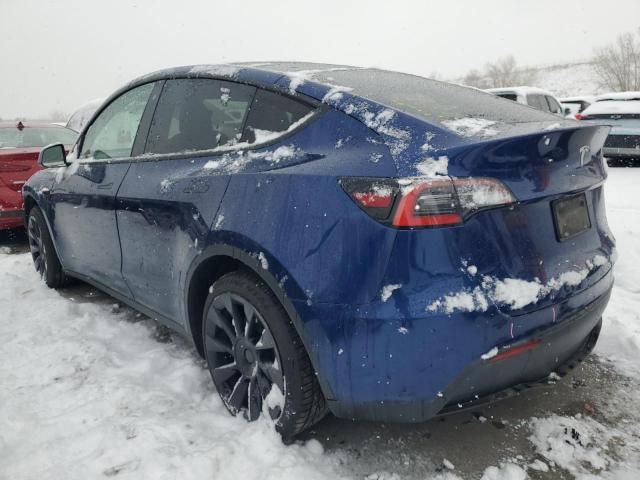 2020 Tesla Model Y