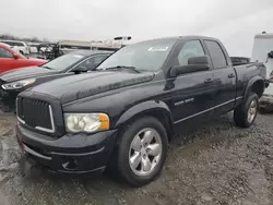 2002 Dodge RAM 1500 en venta en Earlington, KY