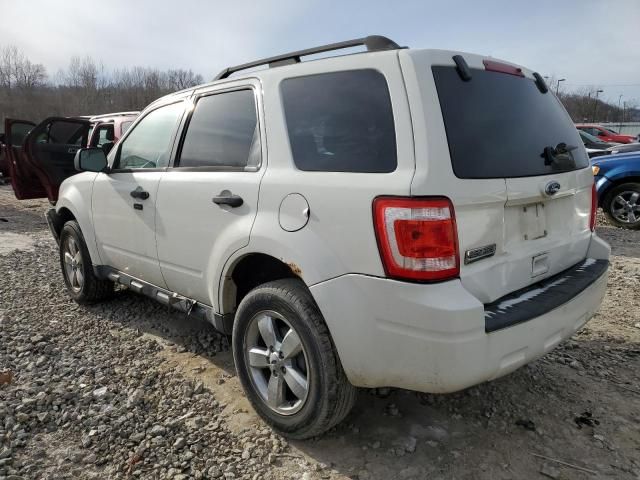 2010 Ford Escape XLT