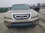 2010 Honda Pilot EXL