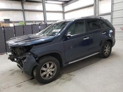 Salvage cars for sale at New Braunfels, TX auction: 2011 KIA Sorento Base