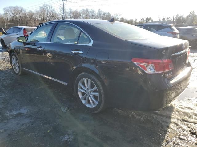 2010 Lexus ES 350