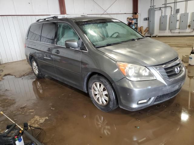 2008 Honda Odyssey EXL