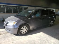 Honda salvage cars for sale: 2016 Honda Odyssey LX