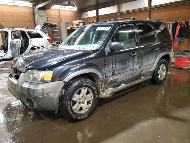 2006 Ford Escape XLT