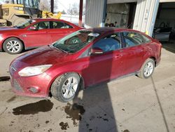 Salvage cars for sale at Billings, MT auction: 2013 Ford Focus SE