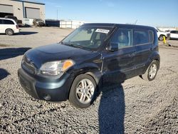 Salvage cars for sale at Earlington, KY auction: 2011 KIA Soul +