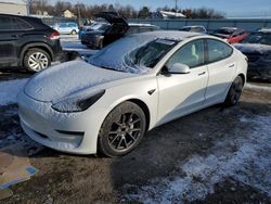 Salvage cars for sale at Pennsburg, PA auction: 2021 Tesla Model 3