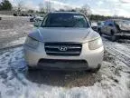 2007 Hyundai Santa FE SE