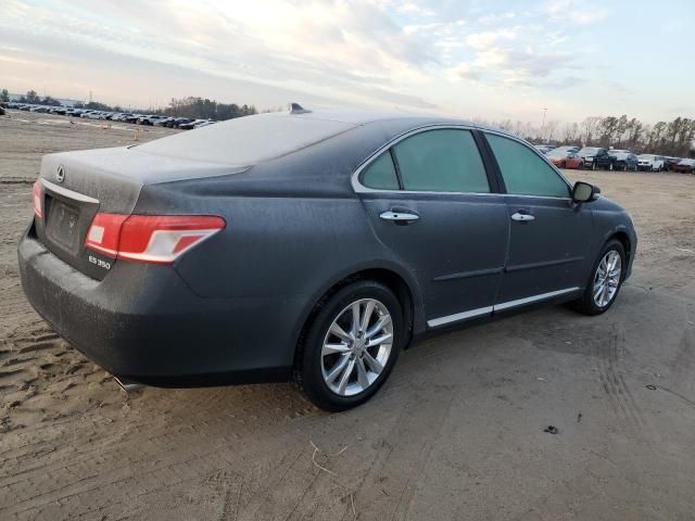 2011 Lexus ES 350