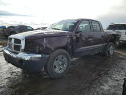 2005 Dodge Dakota Quad SLT en venta en Brighton, CO