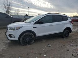 Salvage Cars with No Bids Yet For Sale at auction: 2019 Ford Escape SE