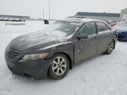 Carros salvage a la venta en subasta: 2008 Toyota Camry LE