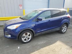 Ford salvage cars for sale: 2014 Ford Escape SE