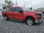 2024 Ford F150 XLT