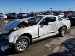 Salvage cars for sale at Indianapolis, IN auction: 2008 Ford Mustang