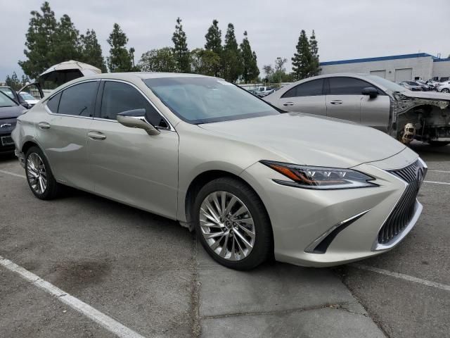 2021 Lexus ES 300H Luxury