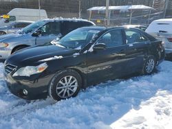 Salvage cars for sale at Baltimore, MD auction: 2010 Toyota Camry SE