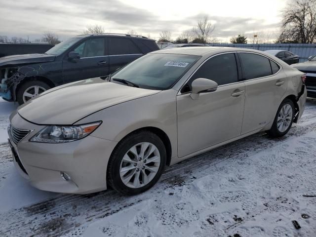 2013 Lexus ES 300H