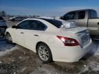 2010 Nissan Maxima S