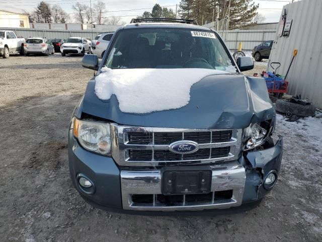 2011 Ford Escape Limited