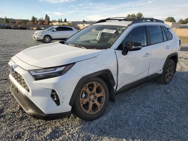 2023 Toyota Rav4 Woodland Edition