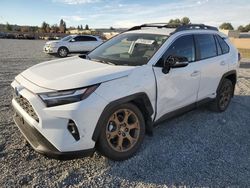 Carros salvage sin ofertas aún a la venta en subasta: 2023 Toyota Rav4 Woodland Edition