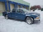 2003 Dodge Dakota SLT