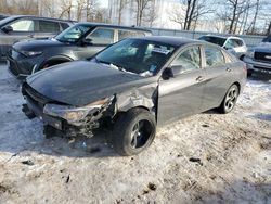 Hyundai Elantra salvage cars for sale: 2023 Hyundai Elantra SEL